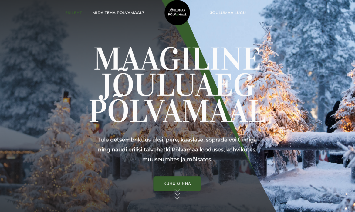 Kodulehe tegemine. Kodulehe loomise hind. Küsi hinda.