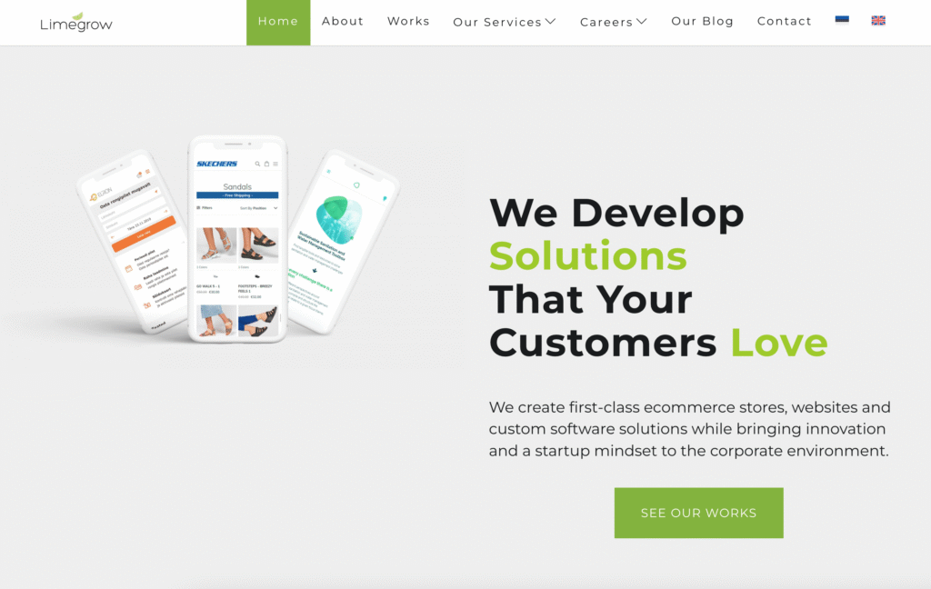 SEO teenus - kodulehe optimeerimise teenus