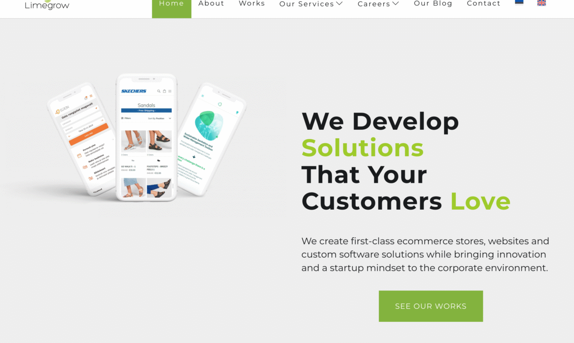 SEO teenus - kodulehe optimeerimise teenus